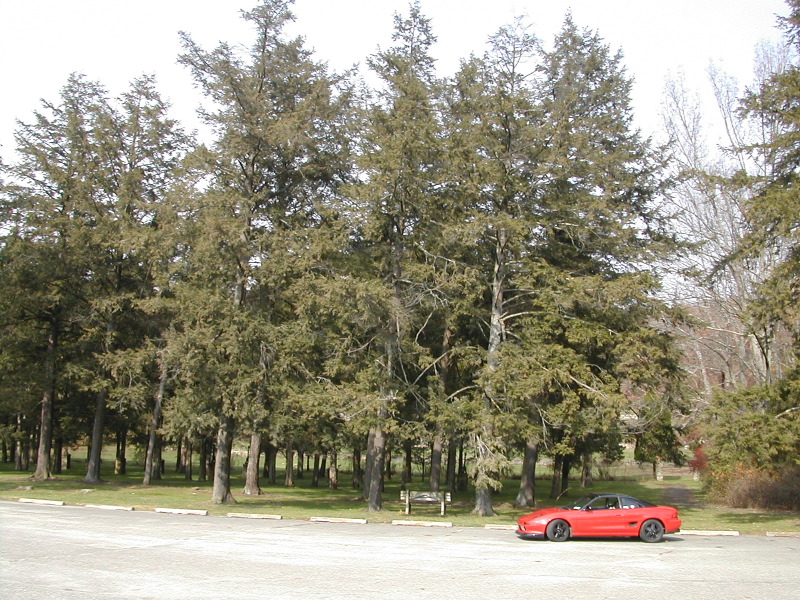 DSCN3571.JPG