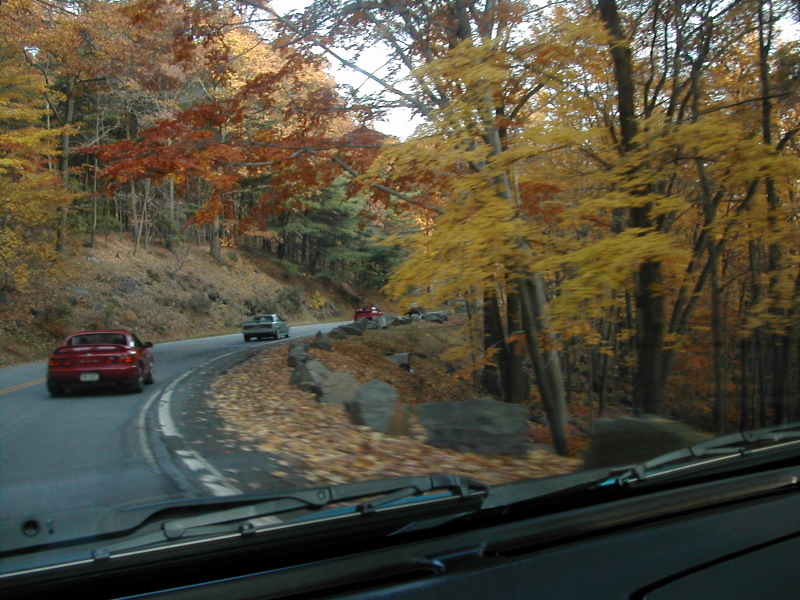DSCN3611.JPG