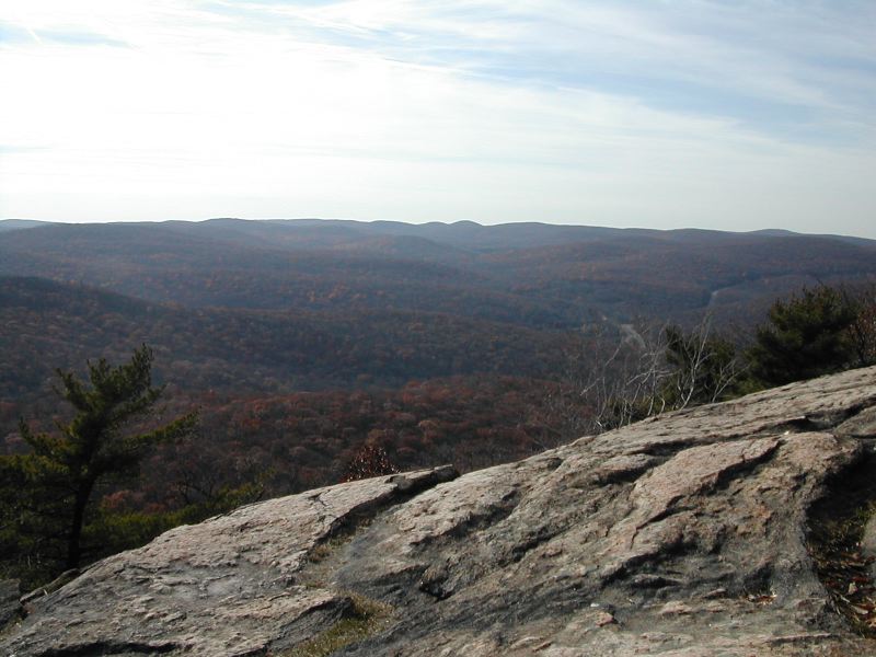 dscn5286.jpg